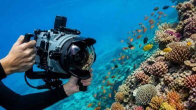 Sports Photography Technology: Speed Is Only Half the Story
