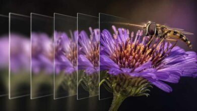Exposure Bracketing: Old Technique, Modern Safety Net