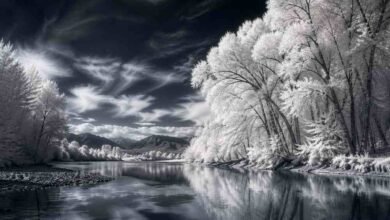 Astrophotography Technology and the Patience to Photograph Darkness