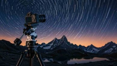 Computational Panoramas and the Art of Wide Seeing